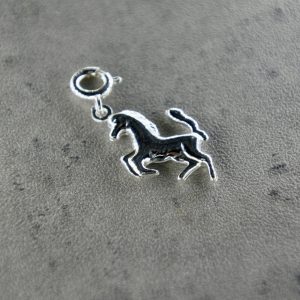 Pferd Charm Accessoire
